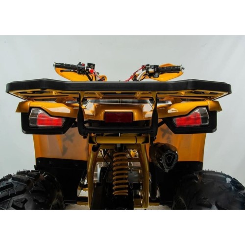 Квадроцикл MOTOLAND 125 Wild (2021 Г.)