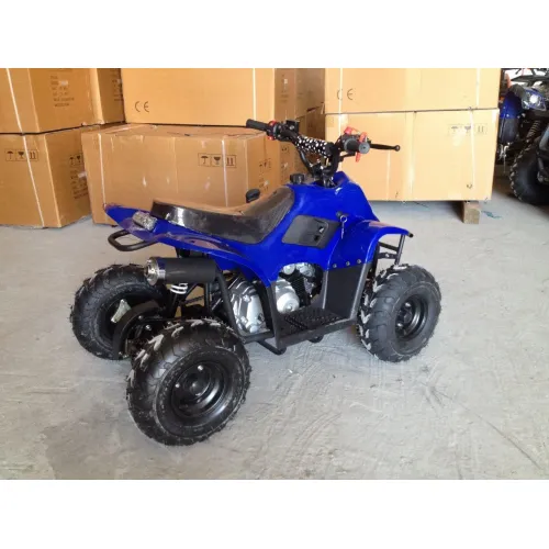 Квадроцикл RAPTOR 110