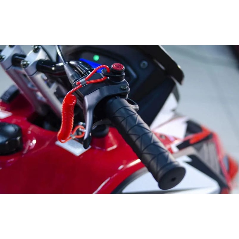 Снегоход ATAKI WD 250