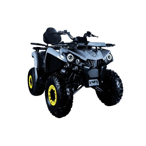 Квадроцикл AVANTIS Forester Long 200 Basic