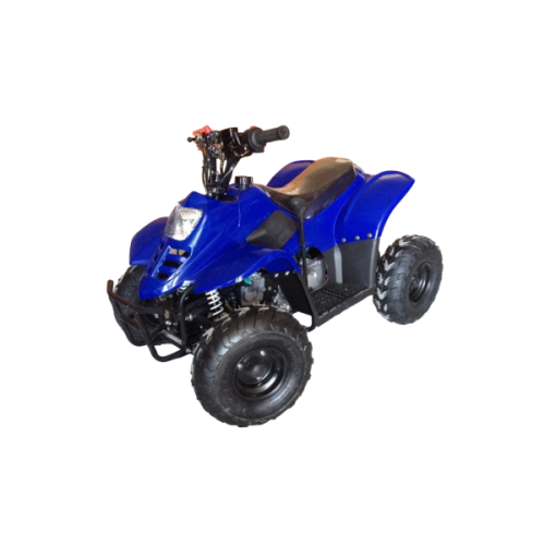 Квадроцикл RAPTOR 110