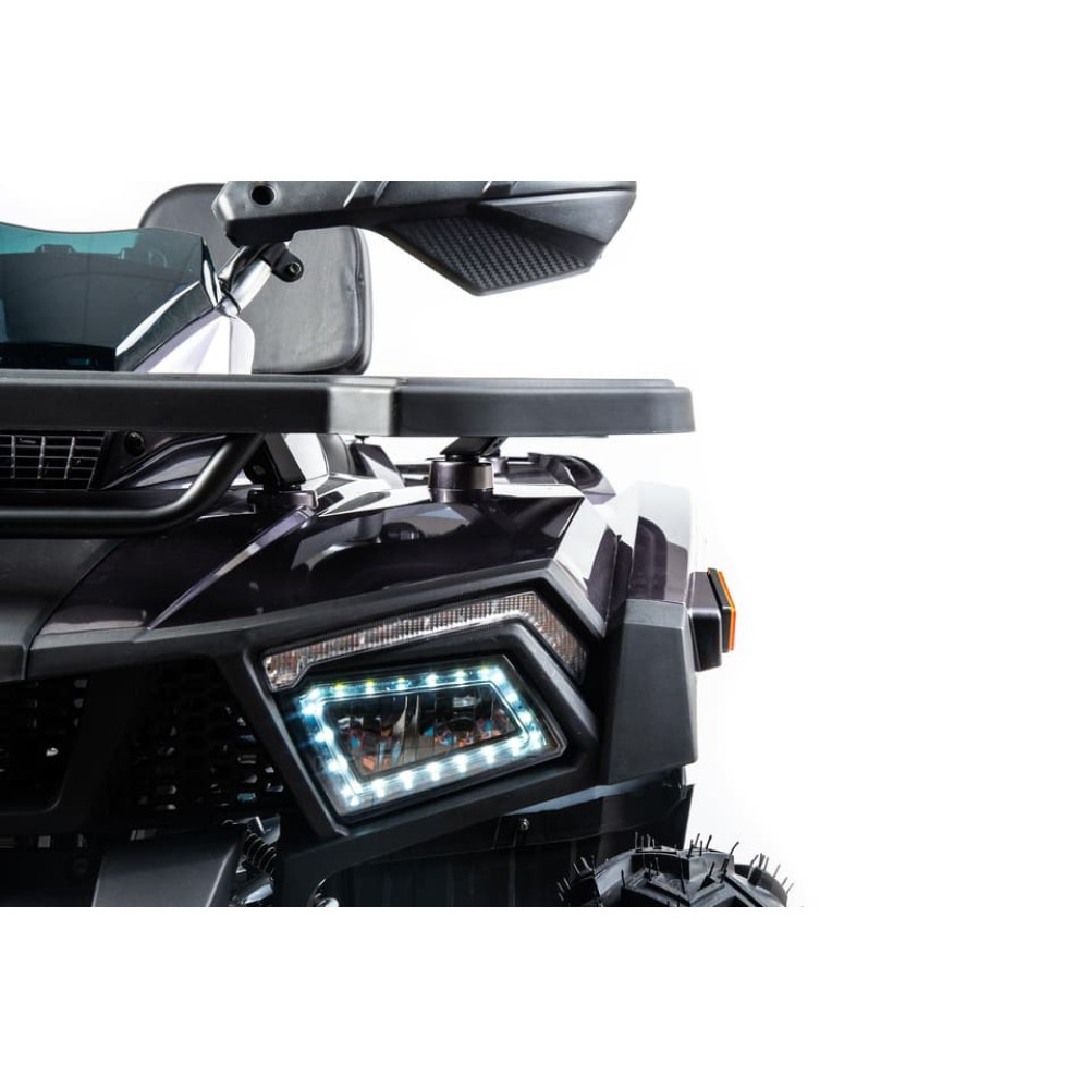 Квадроцикл MOTOLAND 200 Wild Track X Pro (2022)