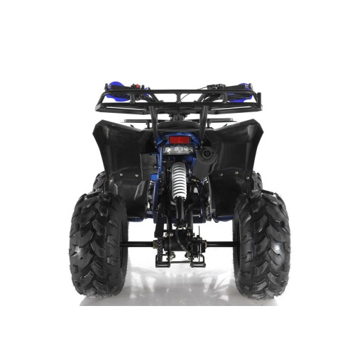 Квадроцикл WELS Thunder EVO