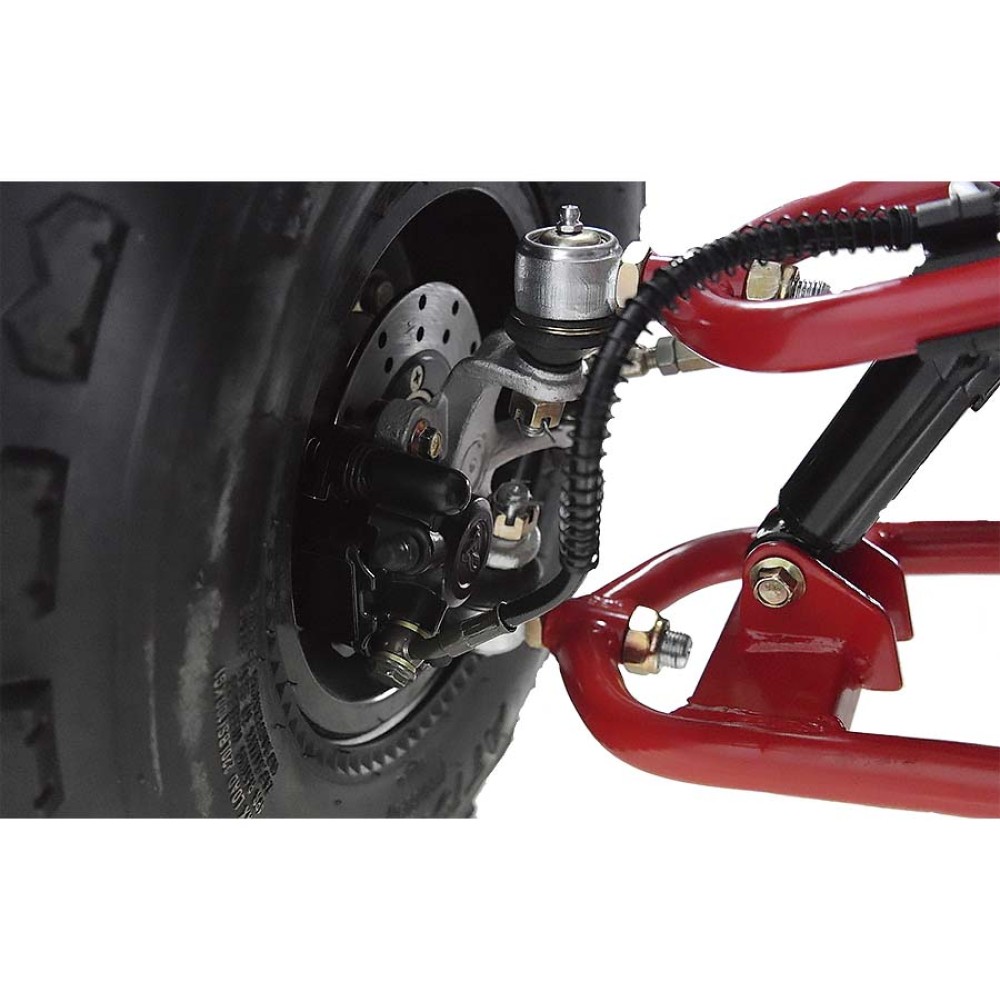 Квадроцикл WELS Thunder EVO X