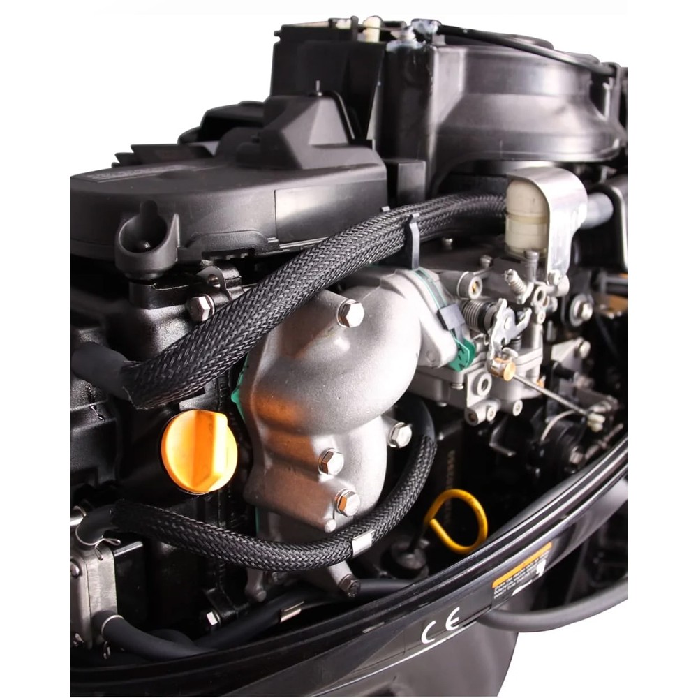 4х-тактный лодочный мотор PARSUN F20ABMS EFI