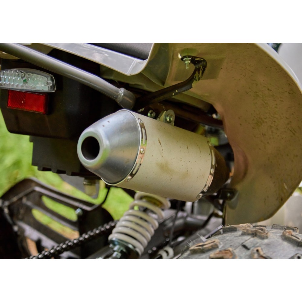 Квадроцикл SHARMAX Raizer Race Cup 250