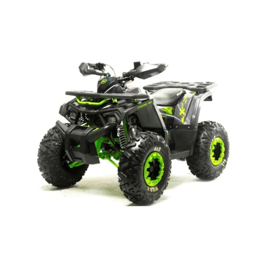 Квадроцикл MOTOLAND 125 Wild (2021 Г.)