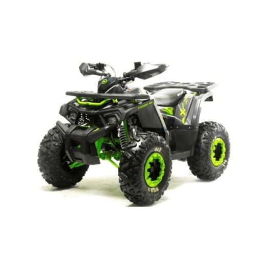 Квадроцикл MOTOLAND 125 Wild (2021 Г.)