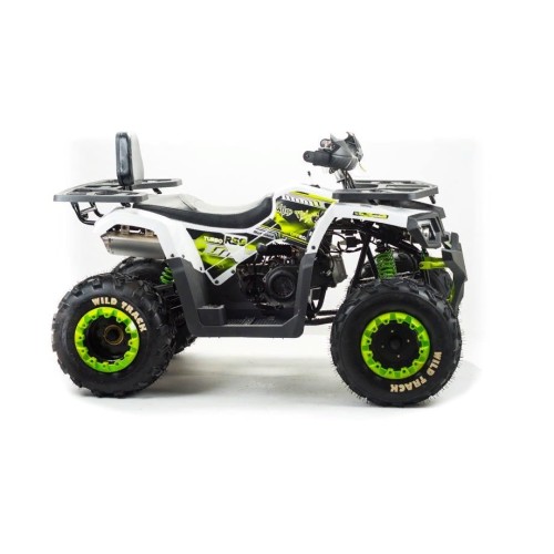 Квадроцикл MOTOLAND ATV 200 Wild Track