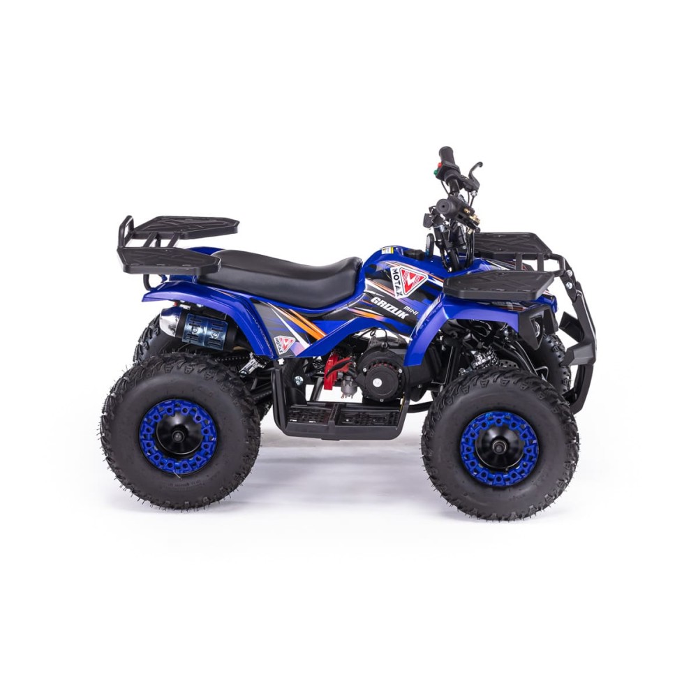 Квадроцикл MOTAX Grizlik X16 (ES, BW)