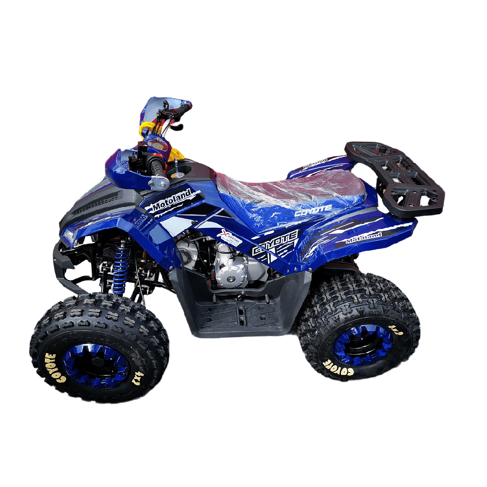 Квадроцикл MOTOLAND 125 Coyote PRO