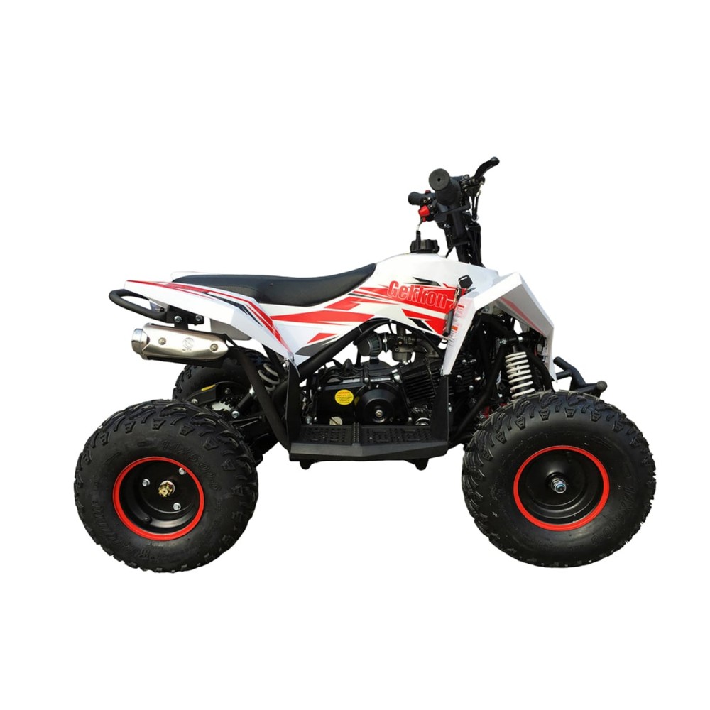 Квадроцикл MOTAX GEKKON 90cc