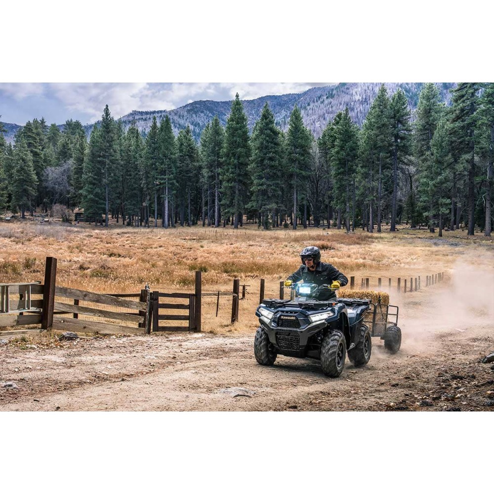 Квадроцикл KAWASAKI Brute Force 750 EPS (2024) (ПСМ)