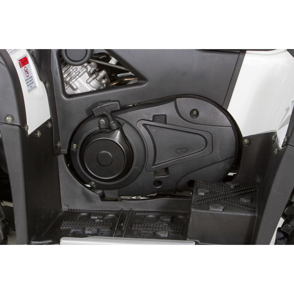 Квадроцикл BALTMOTORS Striker 400 EFI
