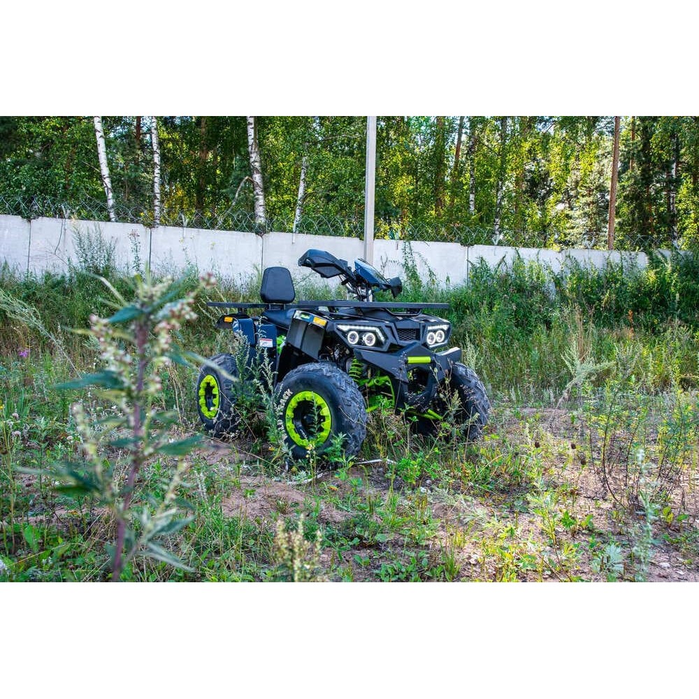 Квадроцикл MOTOLAND 200 Wild Track Lux ( Баланс. вал) (2021 Г.)