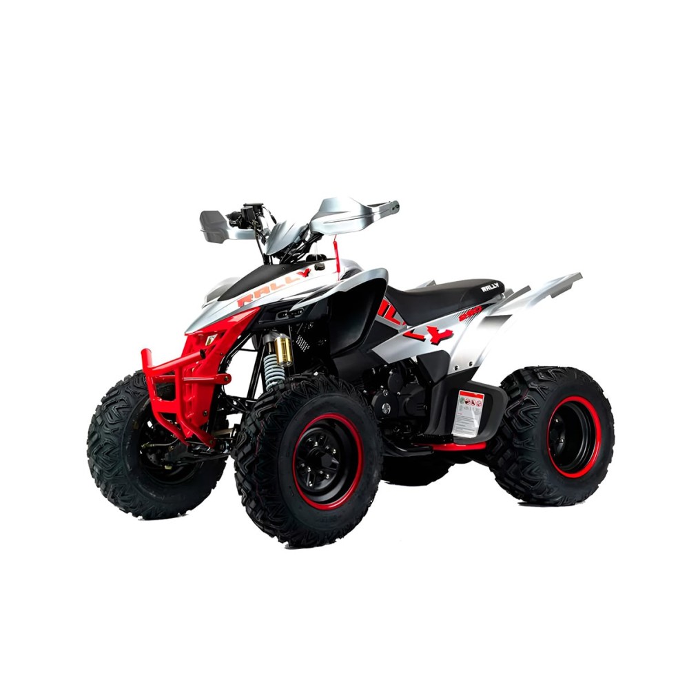 Квадроцикл MOTOLAND RALLY 250