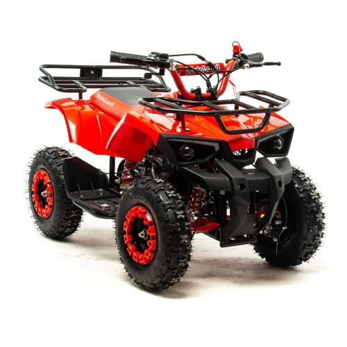 Квадроцикл MOTOLAND 50E Scorpion (2021 Г.)