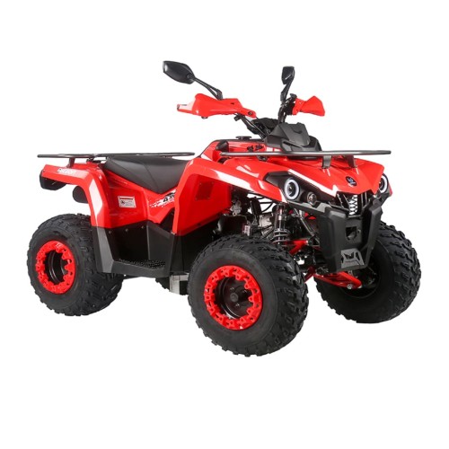 Квадроцикл MIKILON Hammer 200L Pro-R