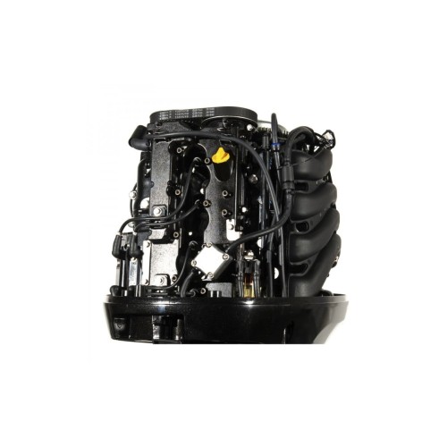 4х-тактный лодочный мотор GOLFSTREAM F100FEL-T EFI