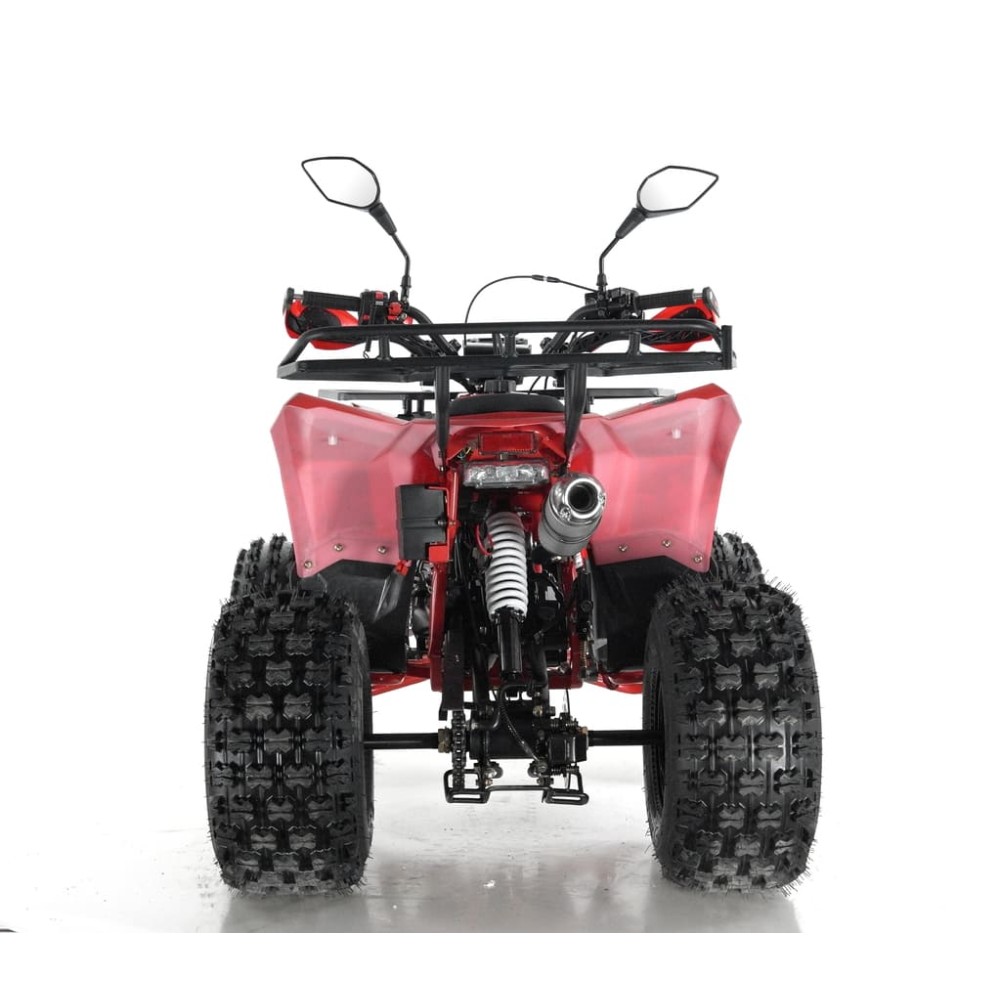 Квадроцикл WELS Thunder EVO X