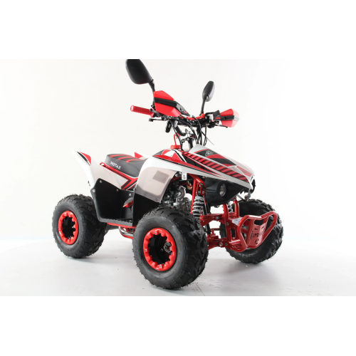 Квадроцикл MOTAX ATV Mikro 110cc
