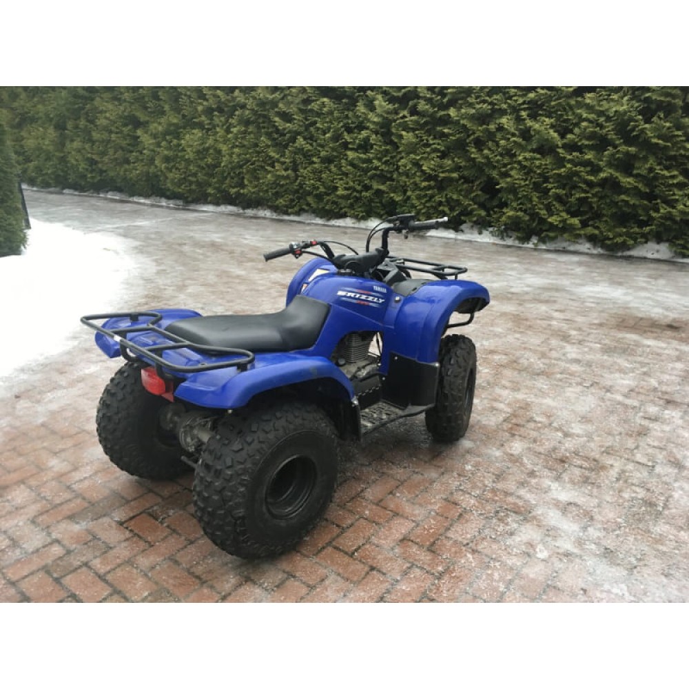 Квадроцикл GRIZZLY 125