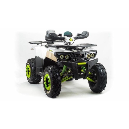 Квадроцикл MOTOLAND 200 Wild Track Lux ( Баланс. вал) (2021 Г.)