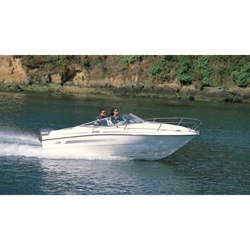 2х-тактный лодочный мотор YAMAHA E115AETL СЕРИИ ENDURO