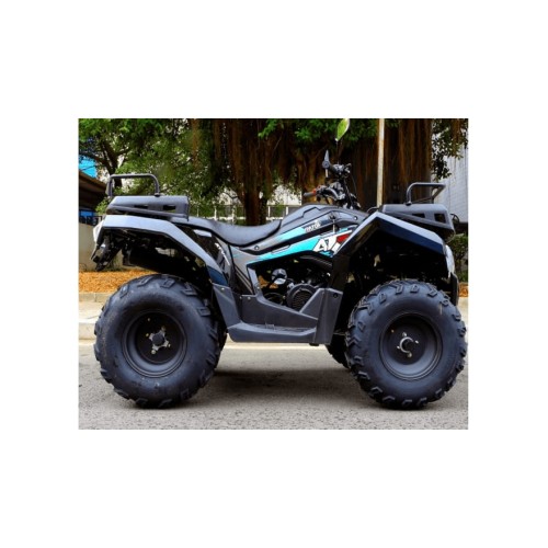 Квадроцикл RATO 200 Simple