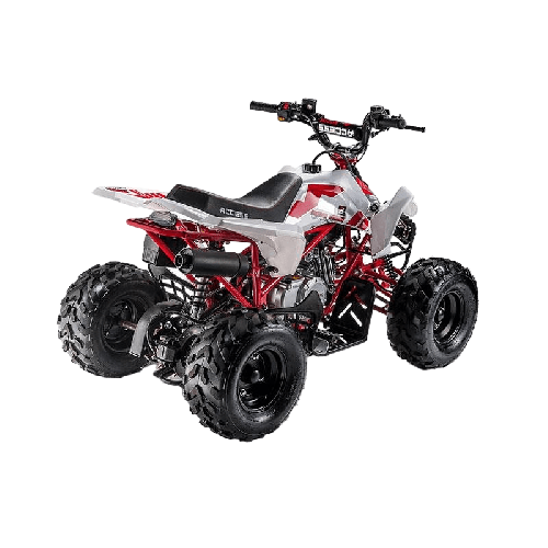 Квадроцикл ACCESS AMS 110 MiniSport