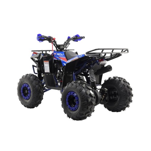 Квадроцикл MOTAX Grizlik A125
