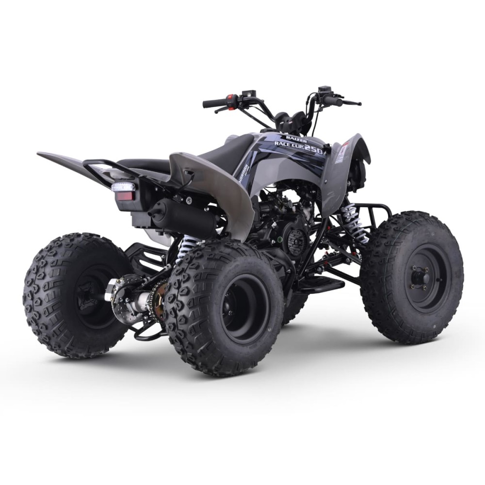 Квадроцикл SHARMAX Raizer Race Cup 250