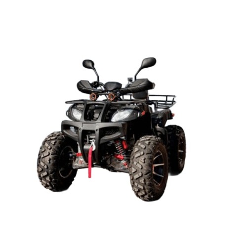 Квадроцикл GRIZZLY 250