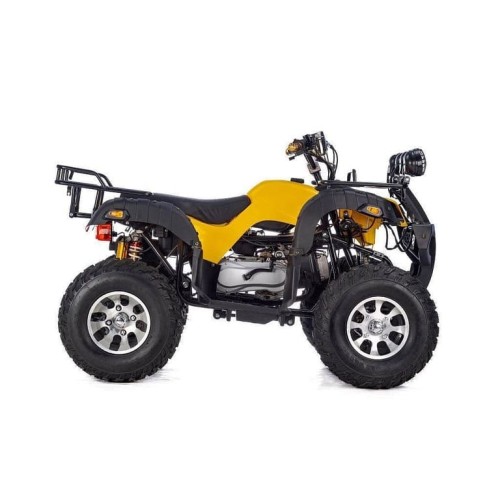 Квадроцикл RAPTOR Max Pro 250 (жёлтый/чёрный) (2024)