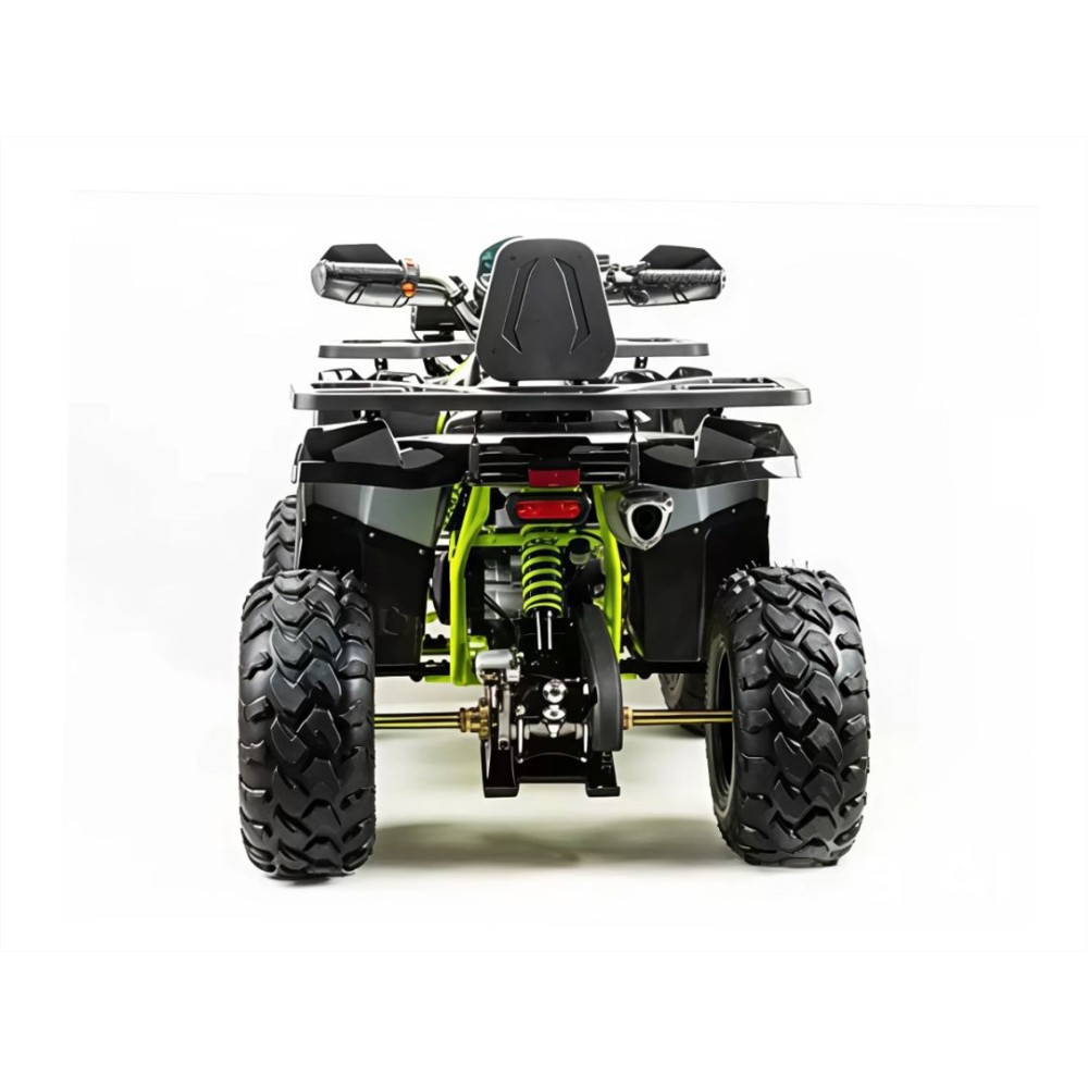 Квадроцикл MOTOLAND 200 Wild Track Pro
