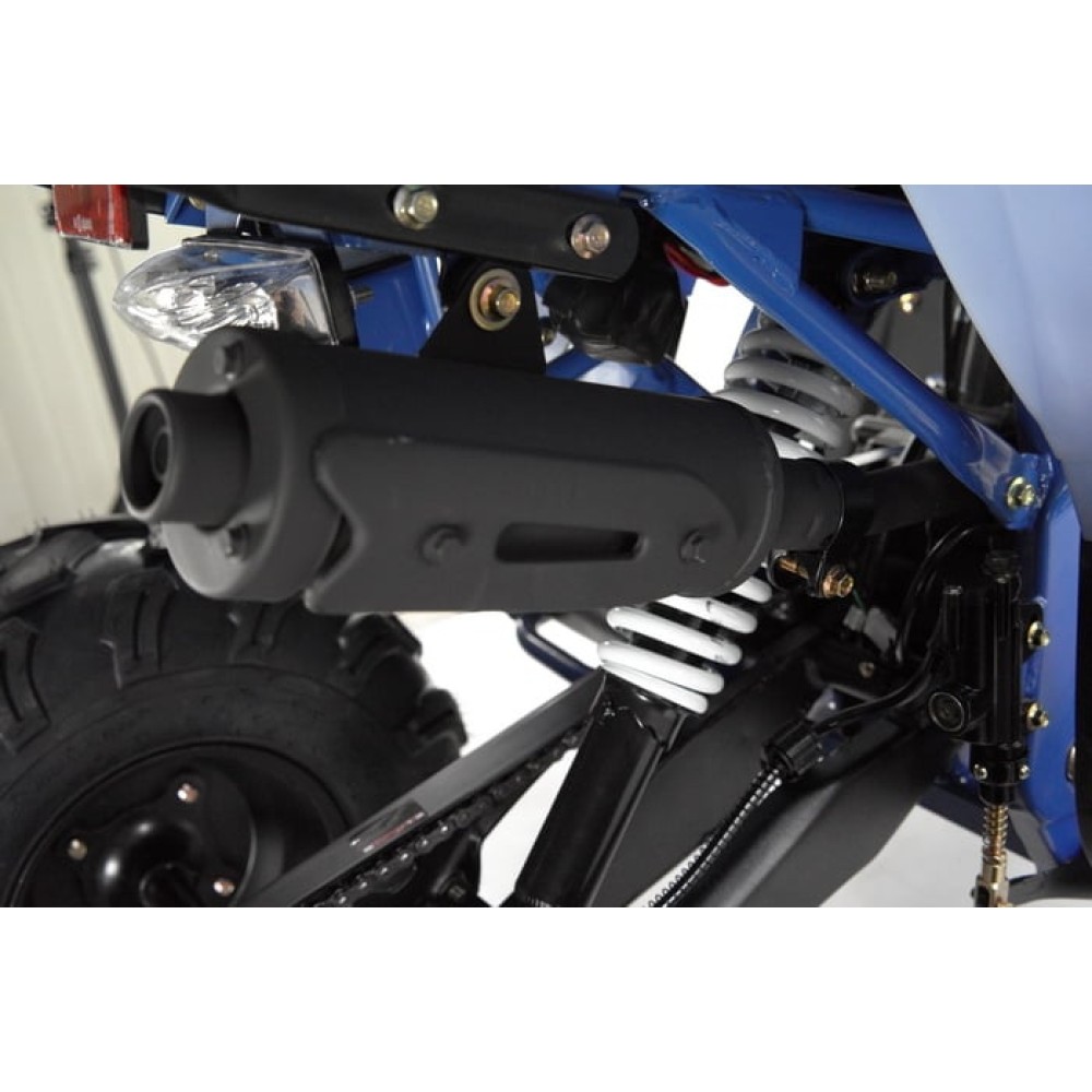 Квадроцикл WELS Thunder EVO