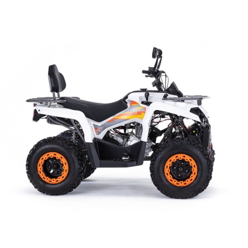 Квадроцикл MOTAX ATV Grizlik 200 Ultra