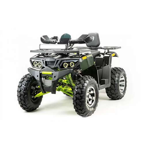 Квадроцикл MOTOLAND 200 Wild Track Pro