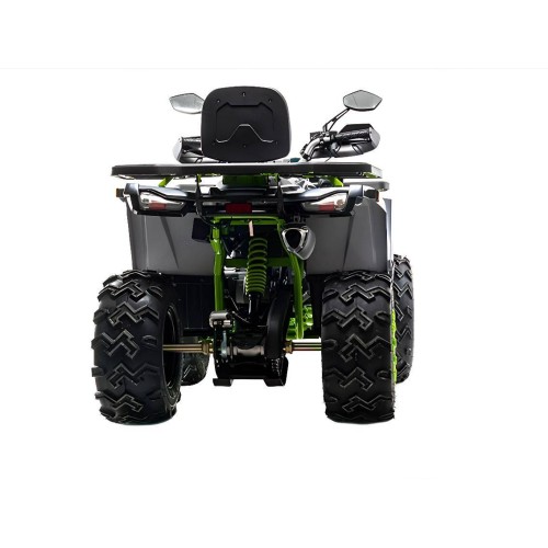 Квадроцикл MOTOLAND 200 Wild Track X Winch