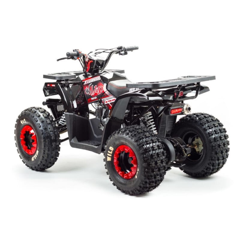 Квадроцикл MOTOLAND Wild 150
