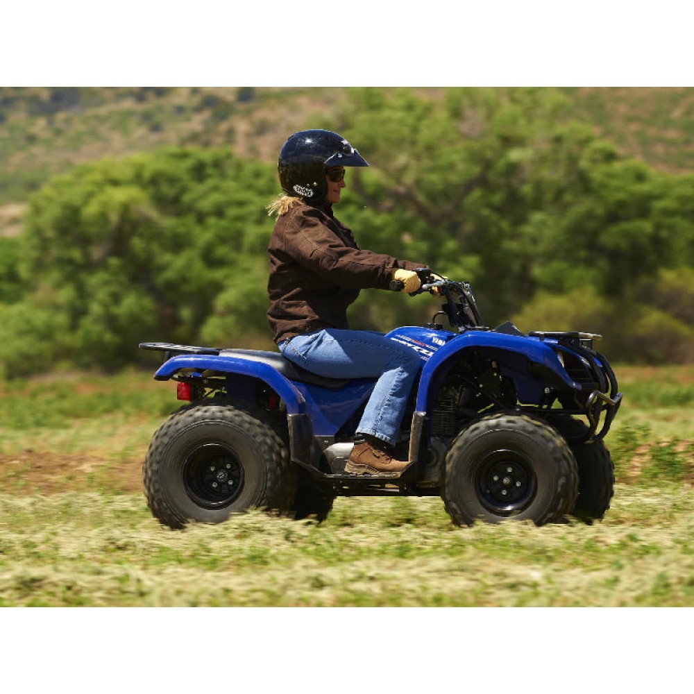 Квадроцикл GRIZZLY 125