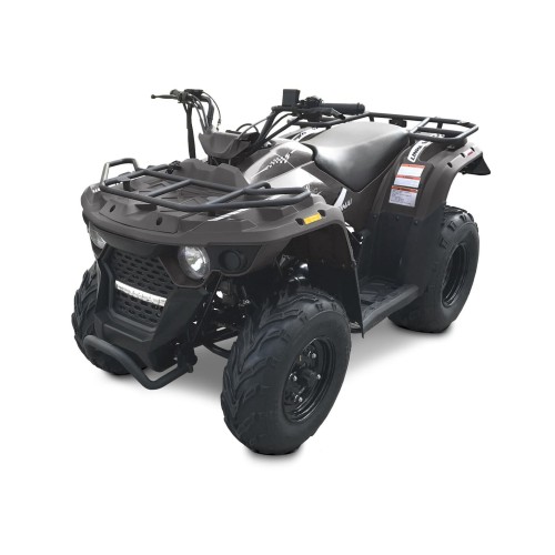 Квадроцикл LINHAI-YAMAHA M150
