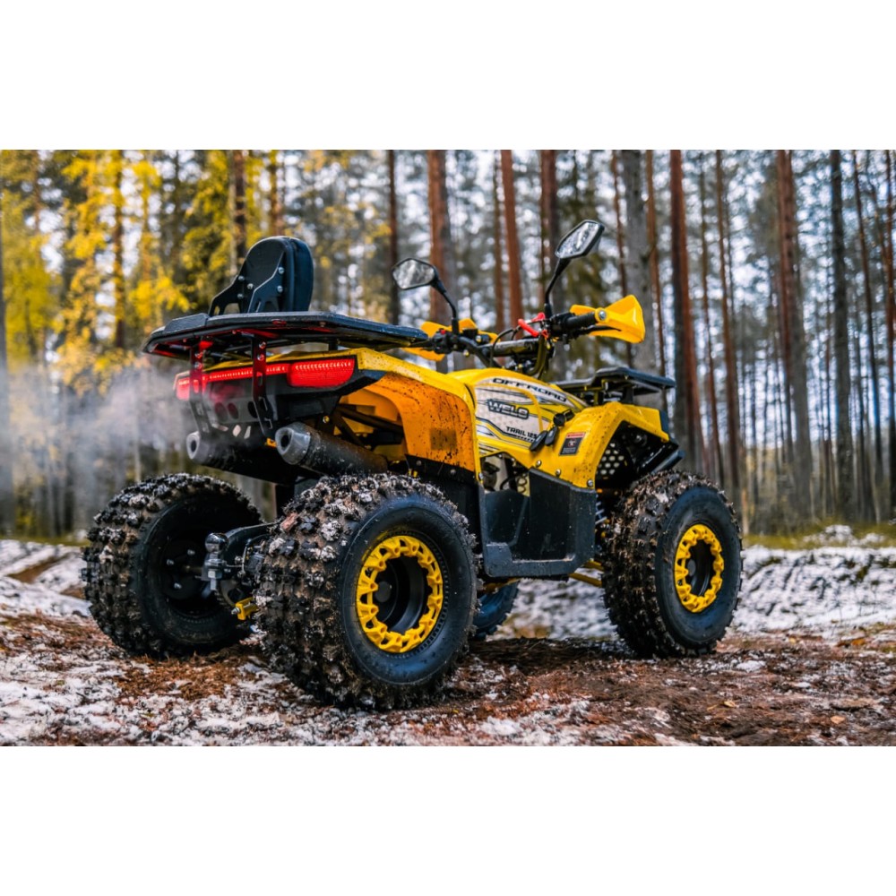 Квадроцикл WELS Thunder Trail 125 PRO