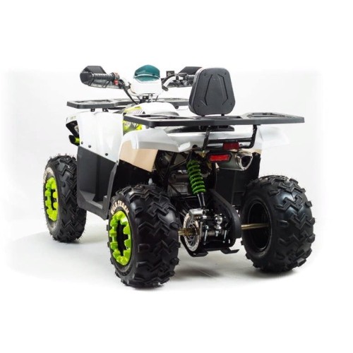 Квадроцикл MOTOLAND ATV 200 Wild Track