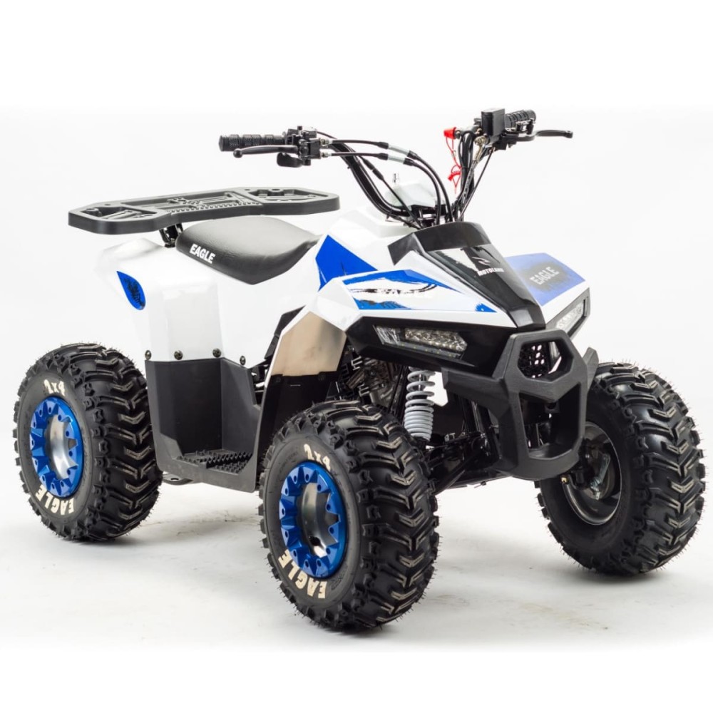 Квадроцикл MOTOLAND 110 Eagle (2021 Г.)