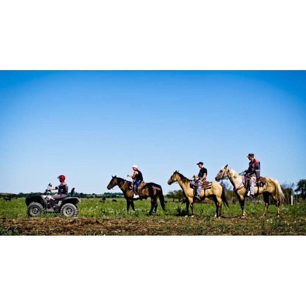 Квадроцикл BALTMOTORS Striker 700 EFI (ПСМ)