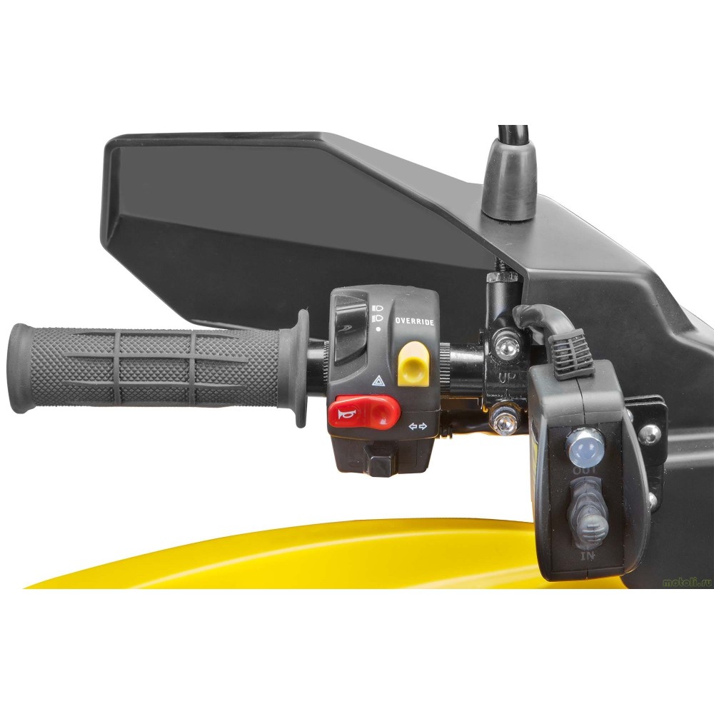 Квадроцикл STELS ATV 800G Guepard Trophy CVTech (канадский вариатор) (ПСМ)