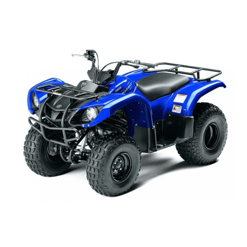 Квадроцикл GRIZZLY 125