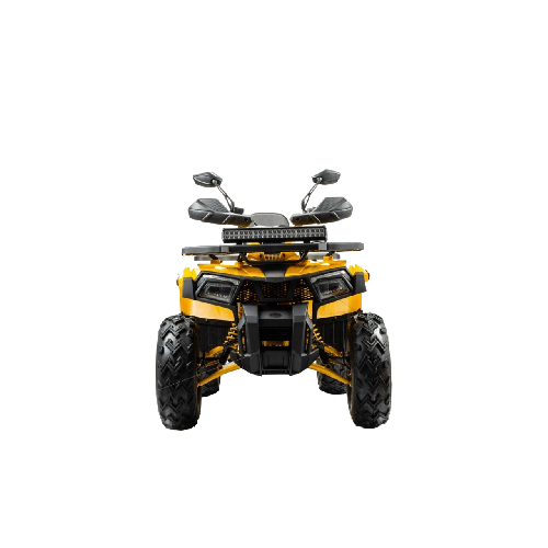 Квадроцикл BISON Track X PRO