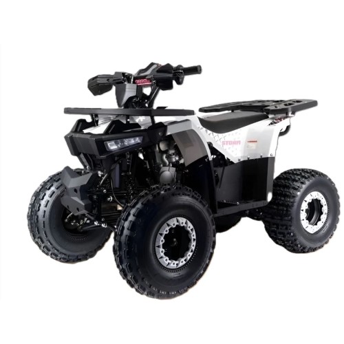 Квадроцикл MOTOLAND Storm A 125